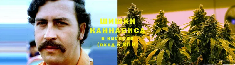 что такое   Асбест  Конопля Bruce Banner 